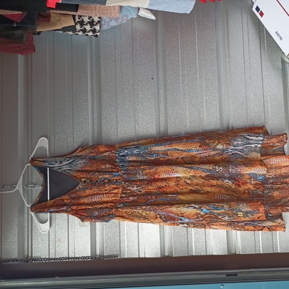 Woman's dress 1003